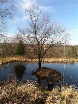 The Willow Tree Inn B&B Cooperstown Bagian luar foto